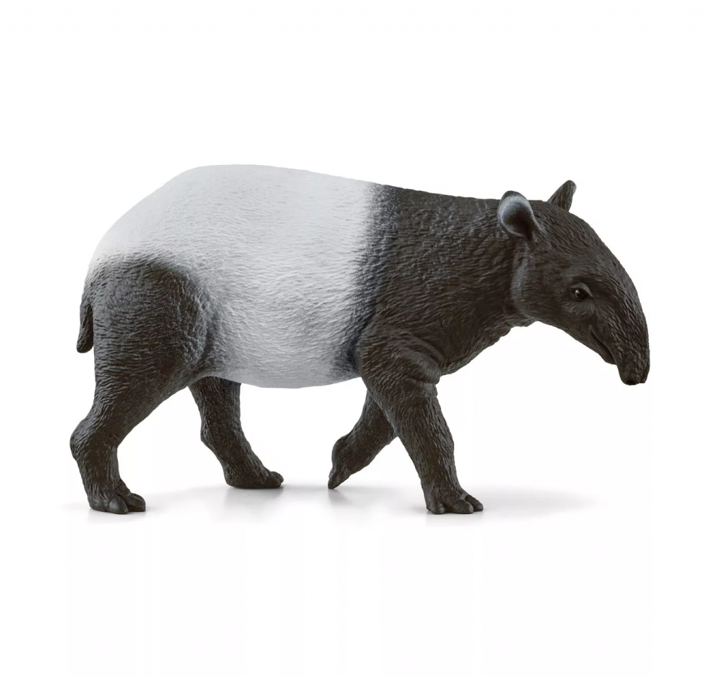 Tapir