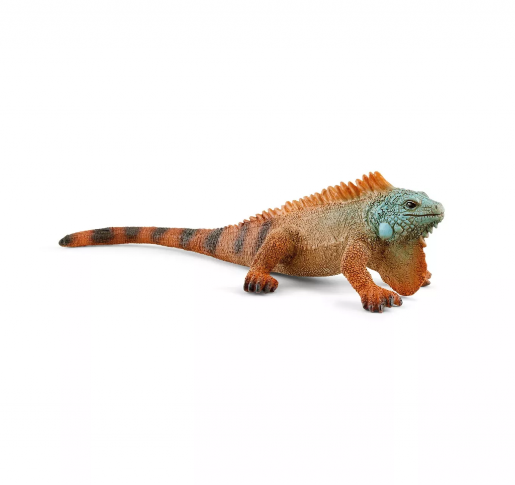 Iguana