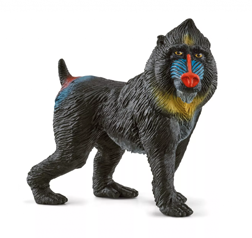 Mandrill