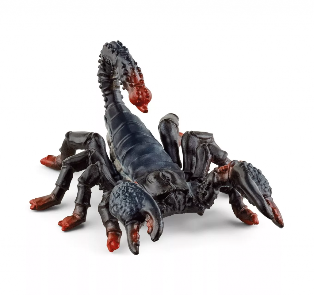 Emperor Scorpion