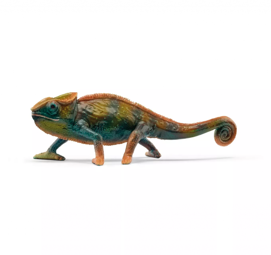 Chameleon