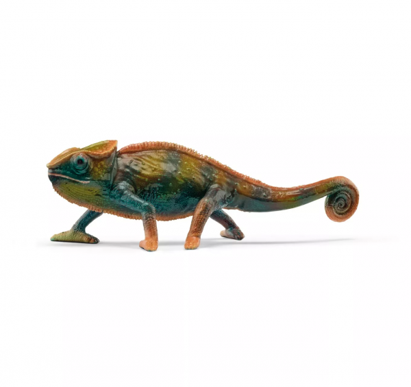 Chameleon