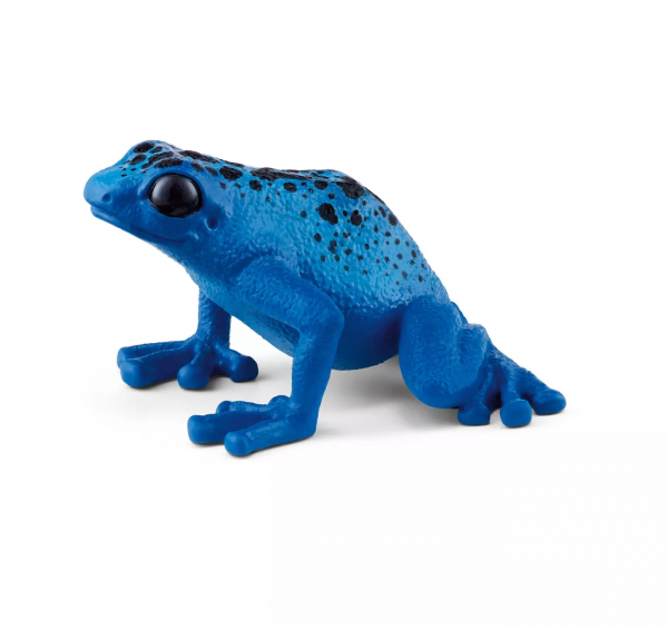 Blue Poison Dart Frog