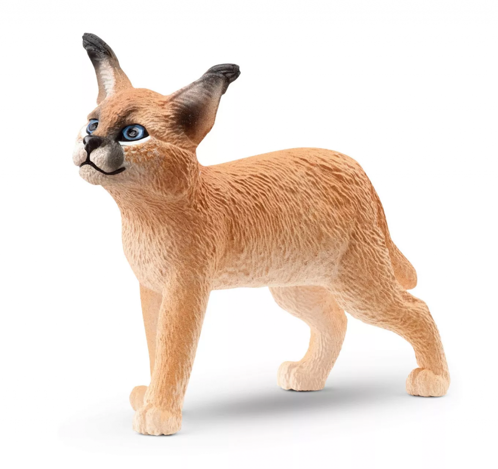 Caracal Cub