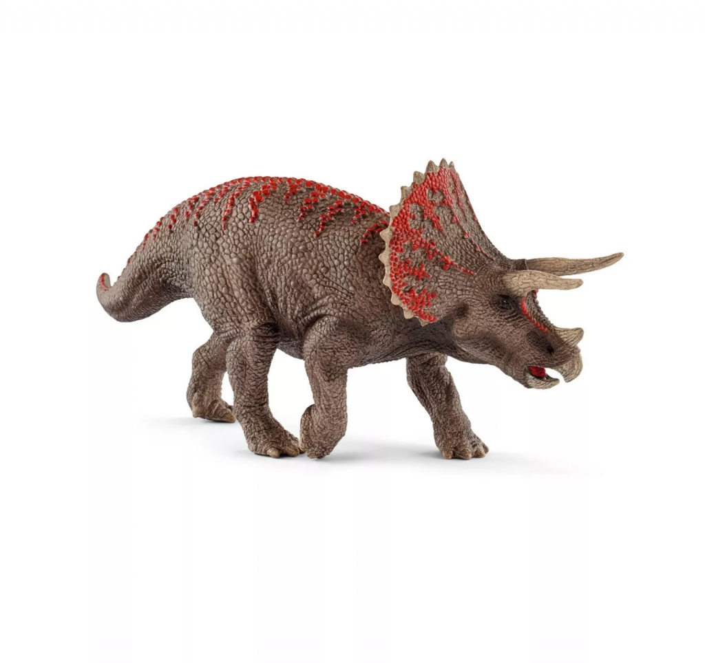 Triceratops