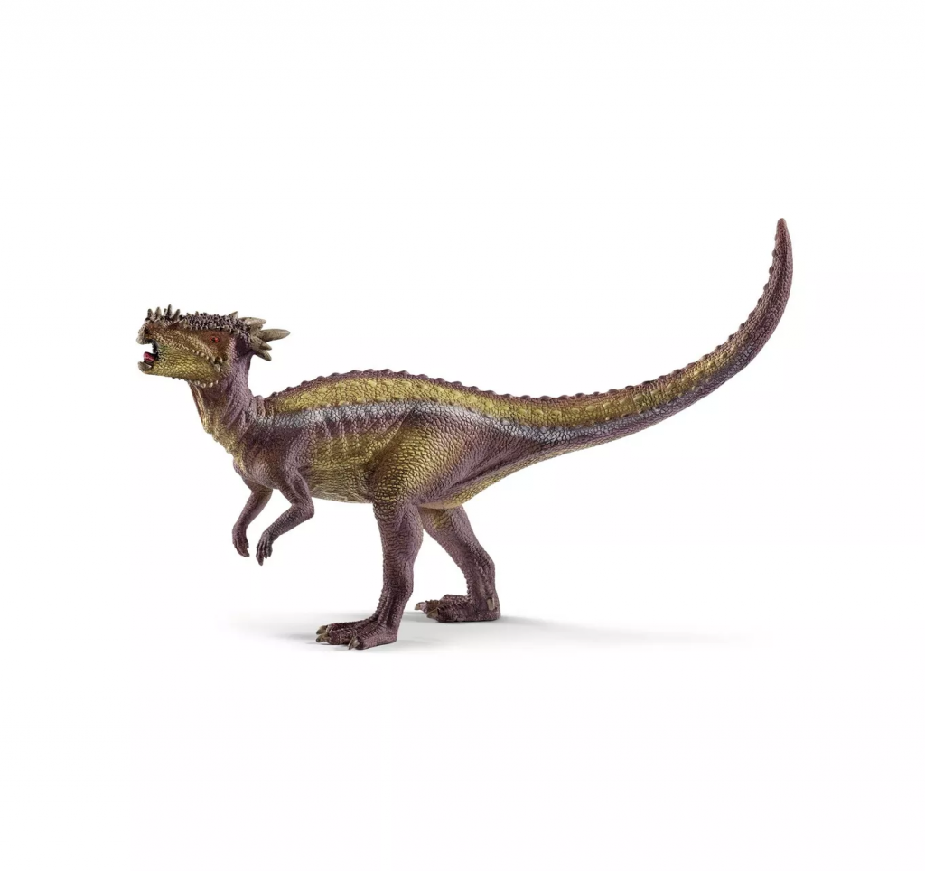 Dracorex