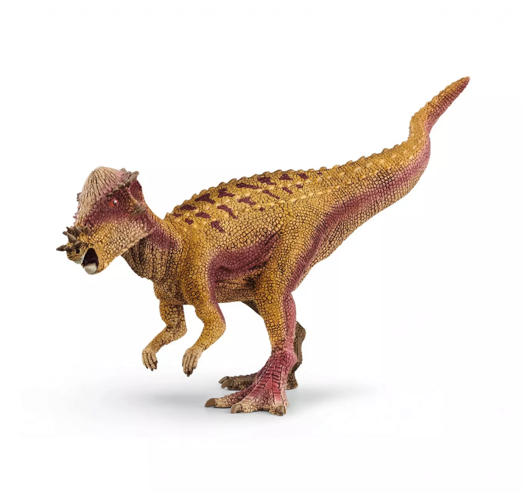 Pachycephalosaurus