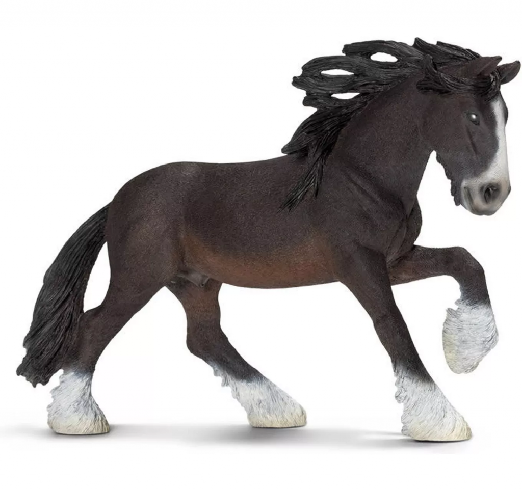 Shire Stallion