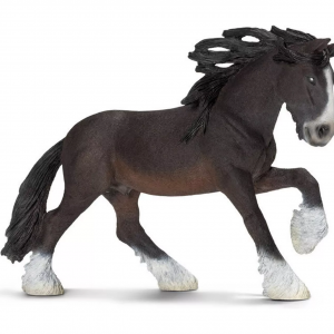 Shire Stallion