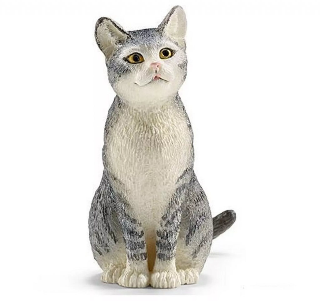 Cat Sitting