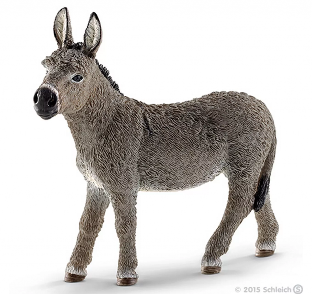 Donkey