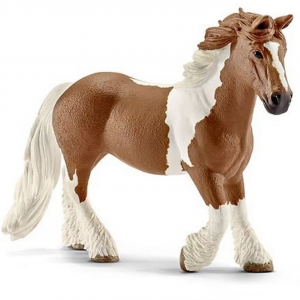 Tinker Mare