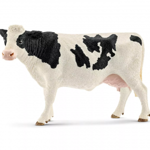 Holstein Cow