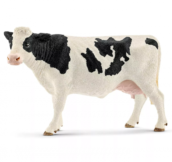Holstein Cow