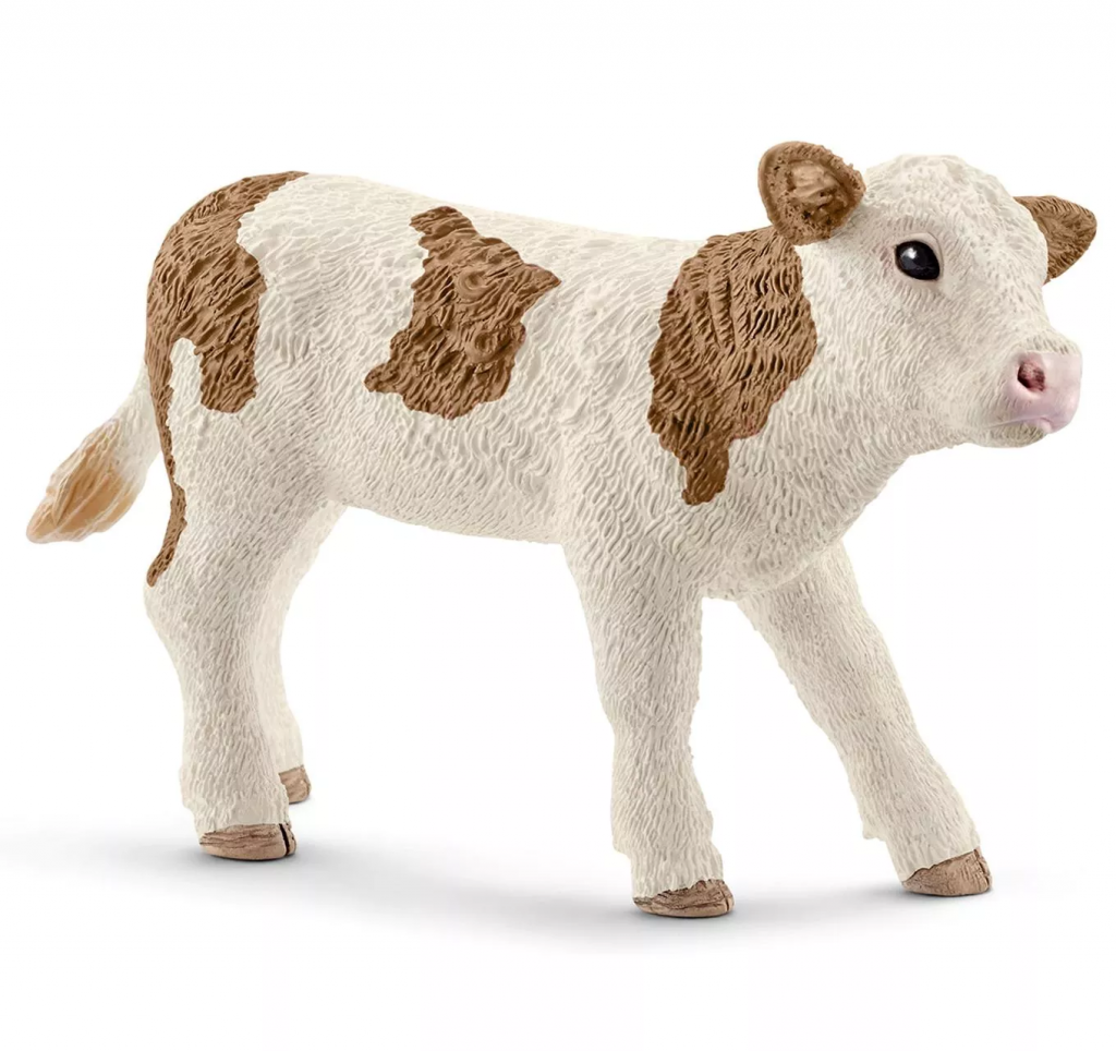 Simmental Calf