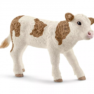 Simmental Calf