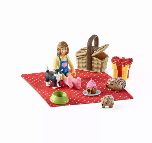 Birthday Picnic Set