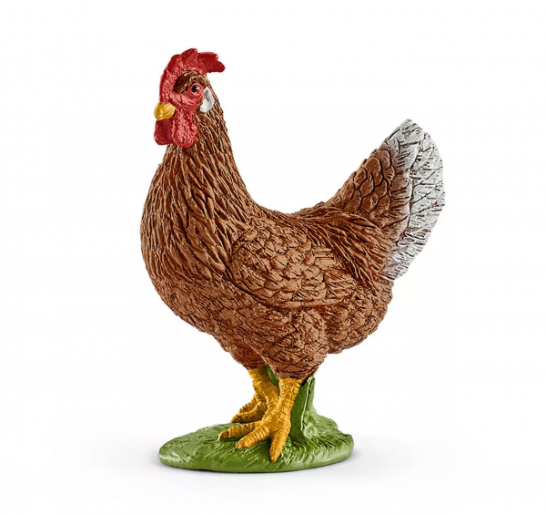 Hen