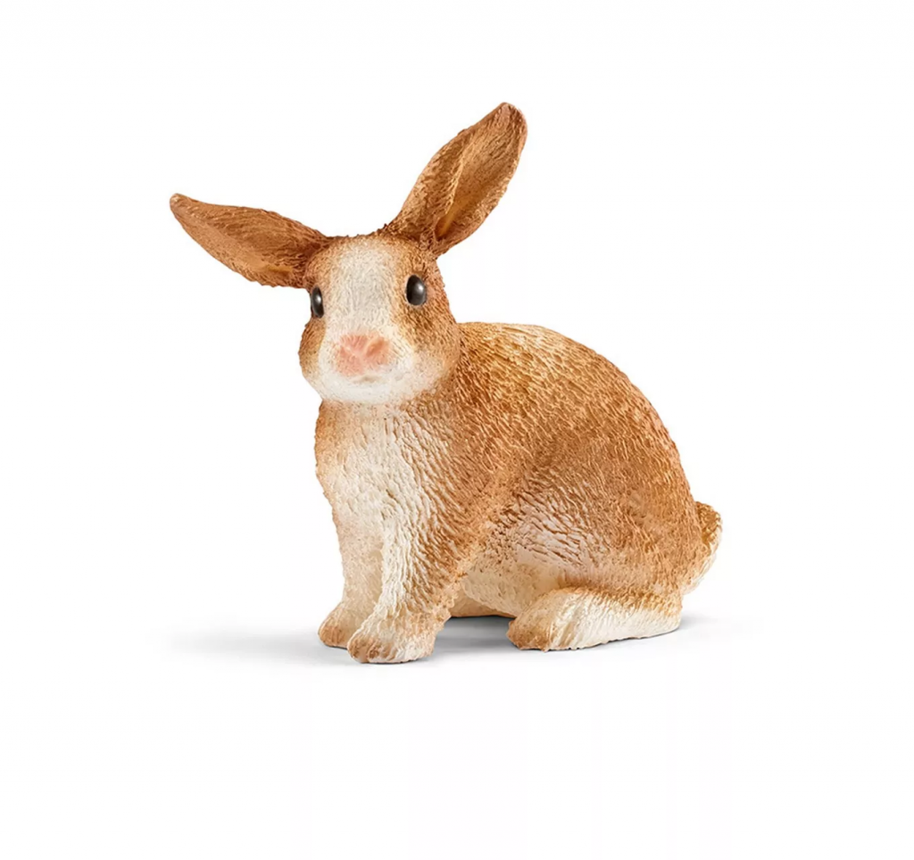 Rabbit