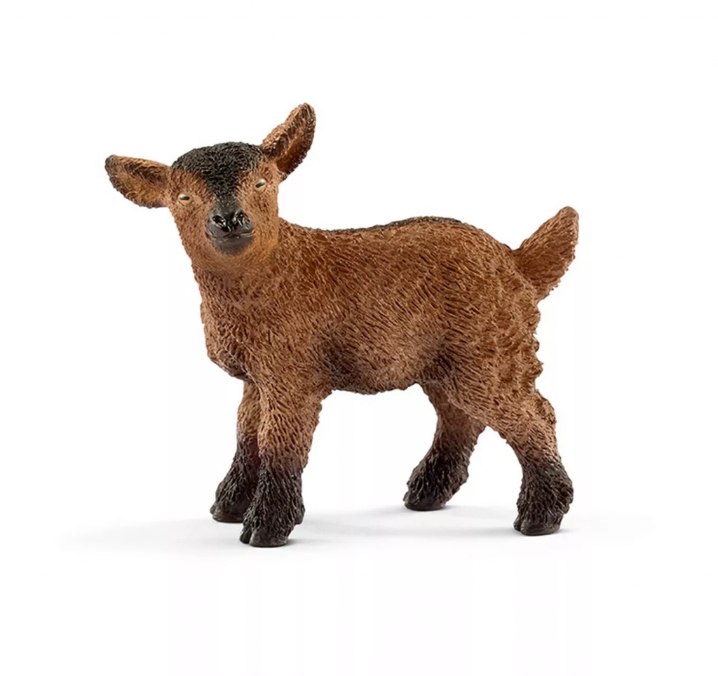 Goat Kid