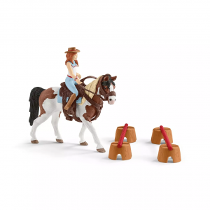 Hannah's Western Riding Set