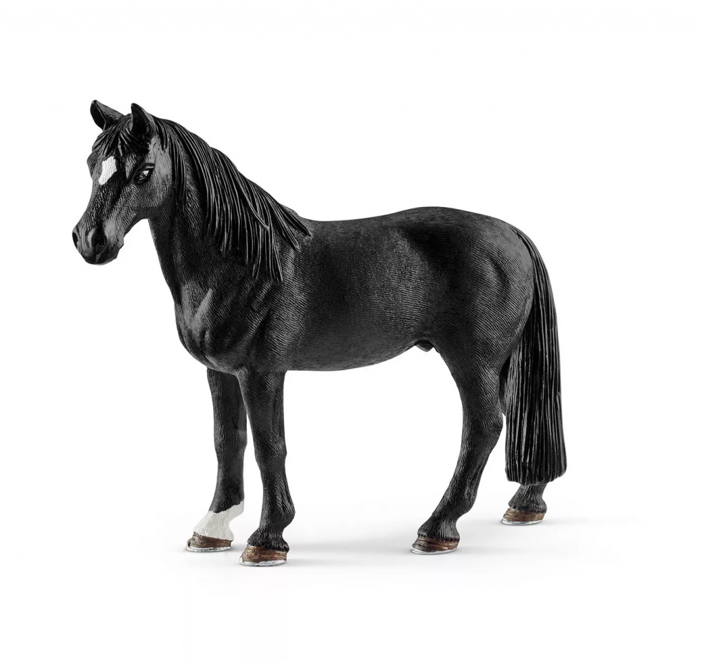 Tennessee Walker Gelding