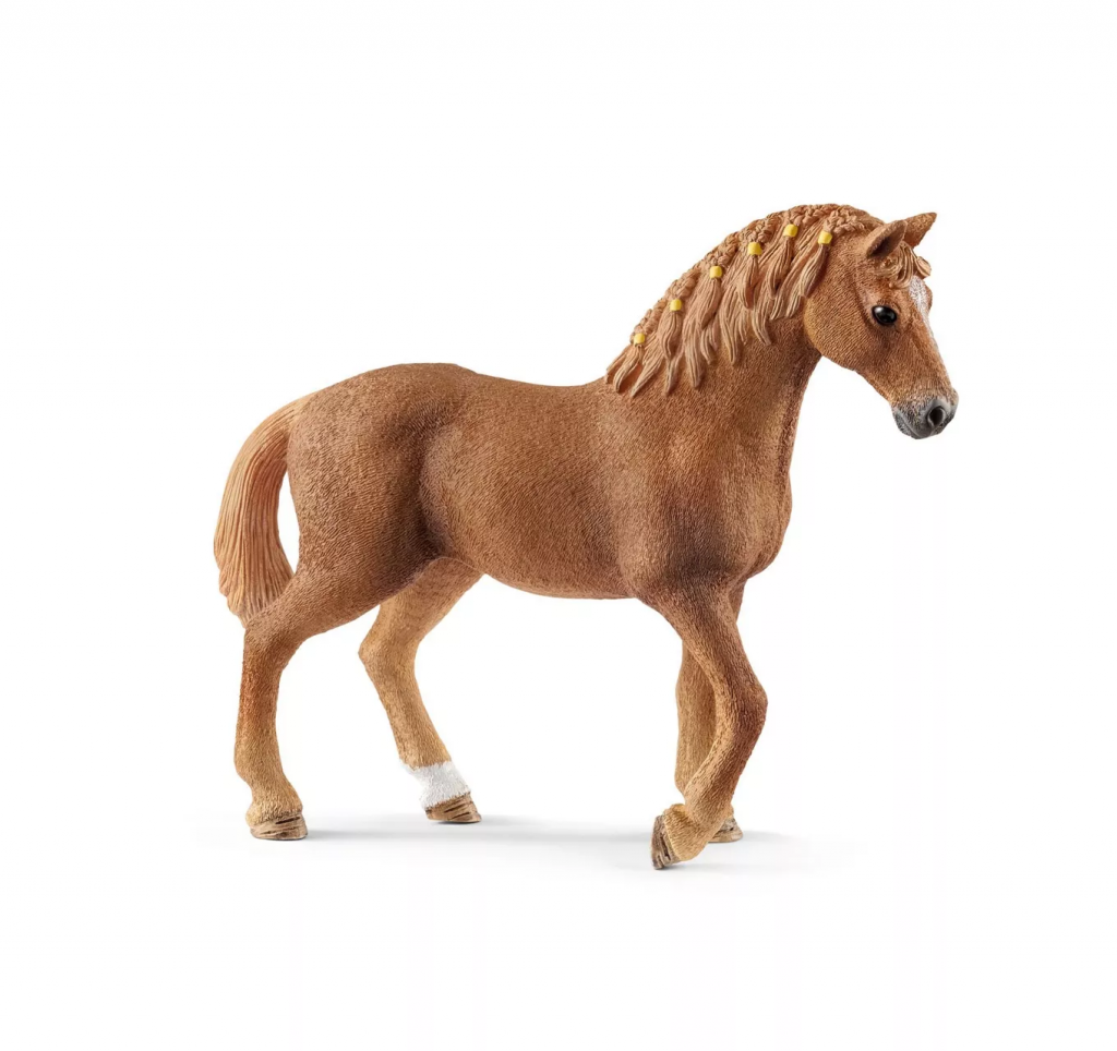 Quarter Horse Mare