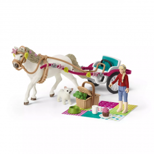 Small Carriage for Horse Show