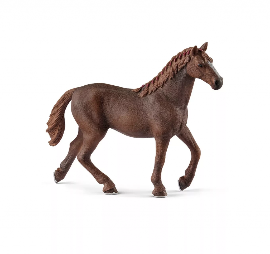English Thoroughbred Mare
