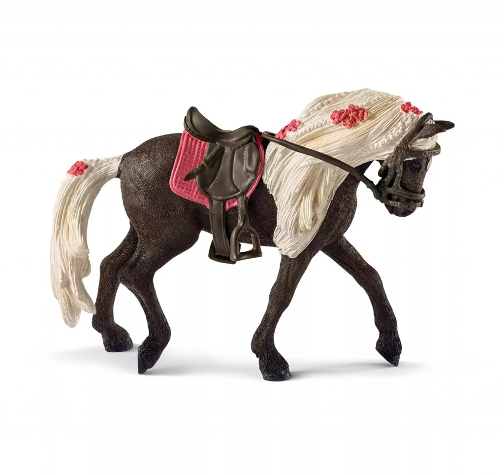 Rocky Mountain Mare Horse Show