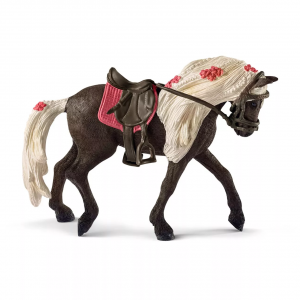 Rocky Mountain Mare Horse Show