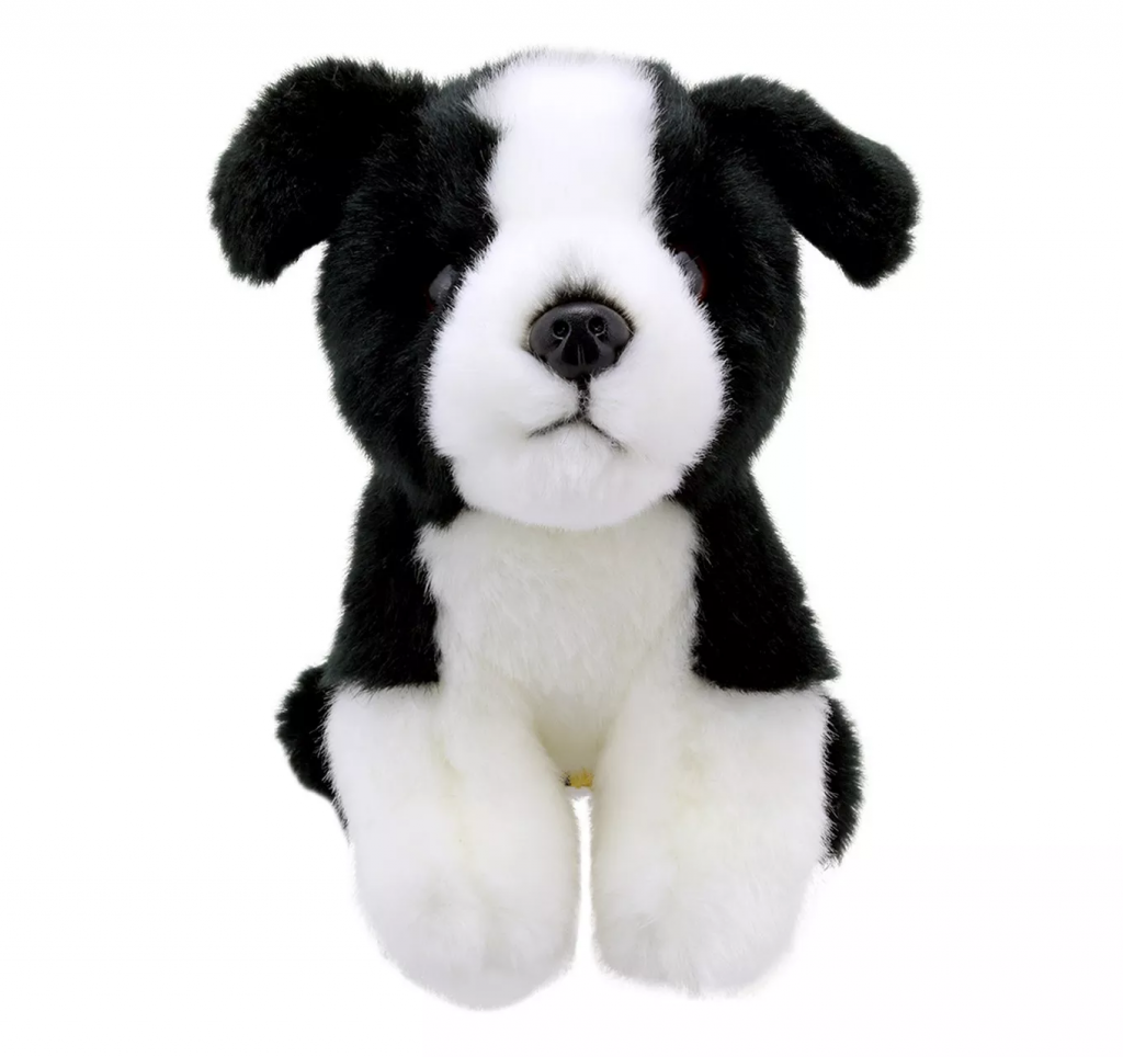 Minis - Border Collie