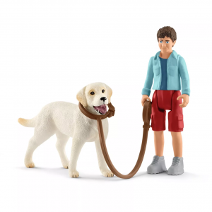 Walking with Labrador Set