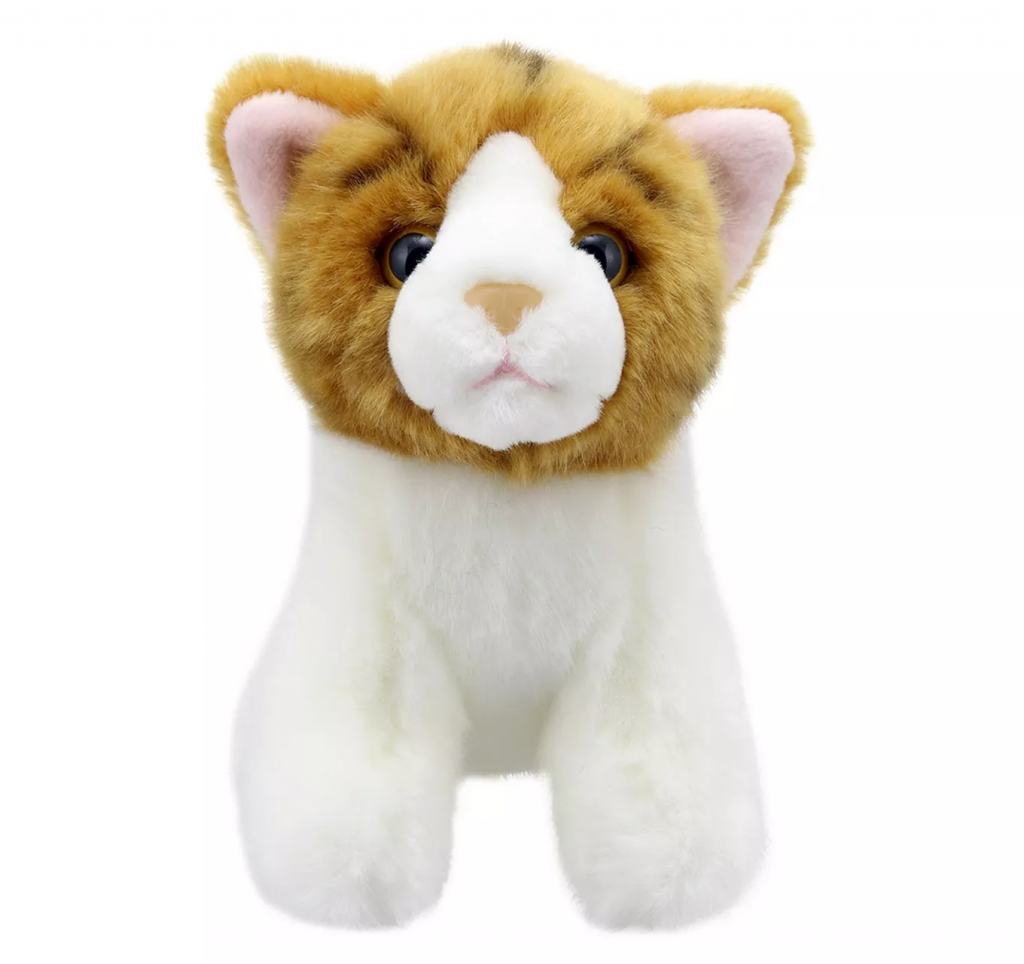 Minis - Ginger Cat