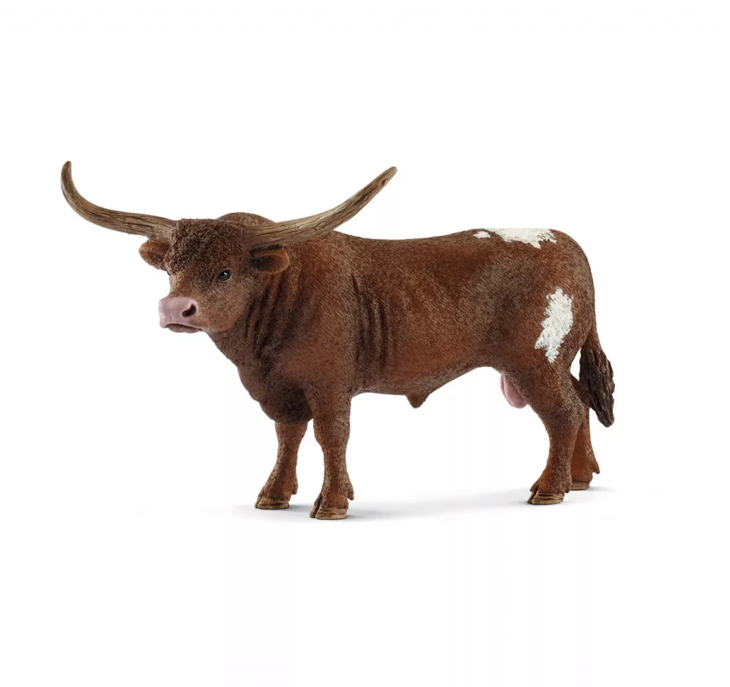 Texas Longhorn Bull