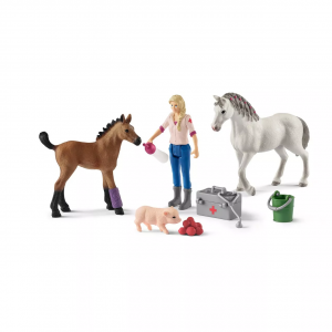 Vet Visiting Mare & Foal