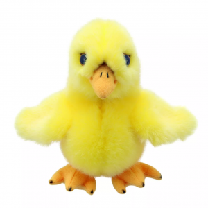 Minis - Chick