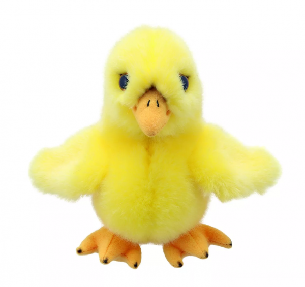Minis - Chick