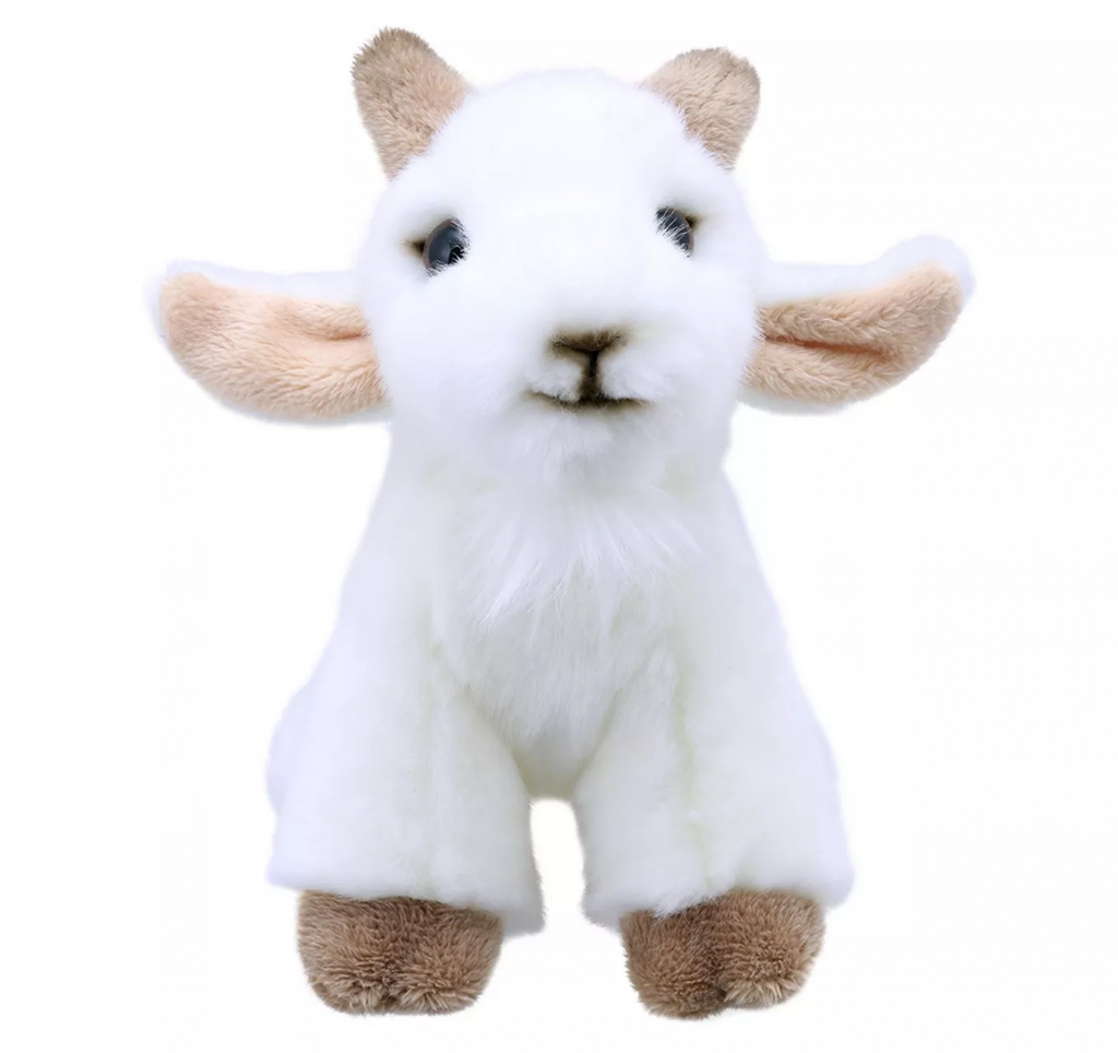 Wilberry Minis Goat