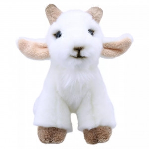 Wilberry Minis Goat
