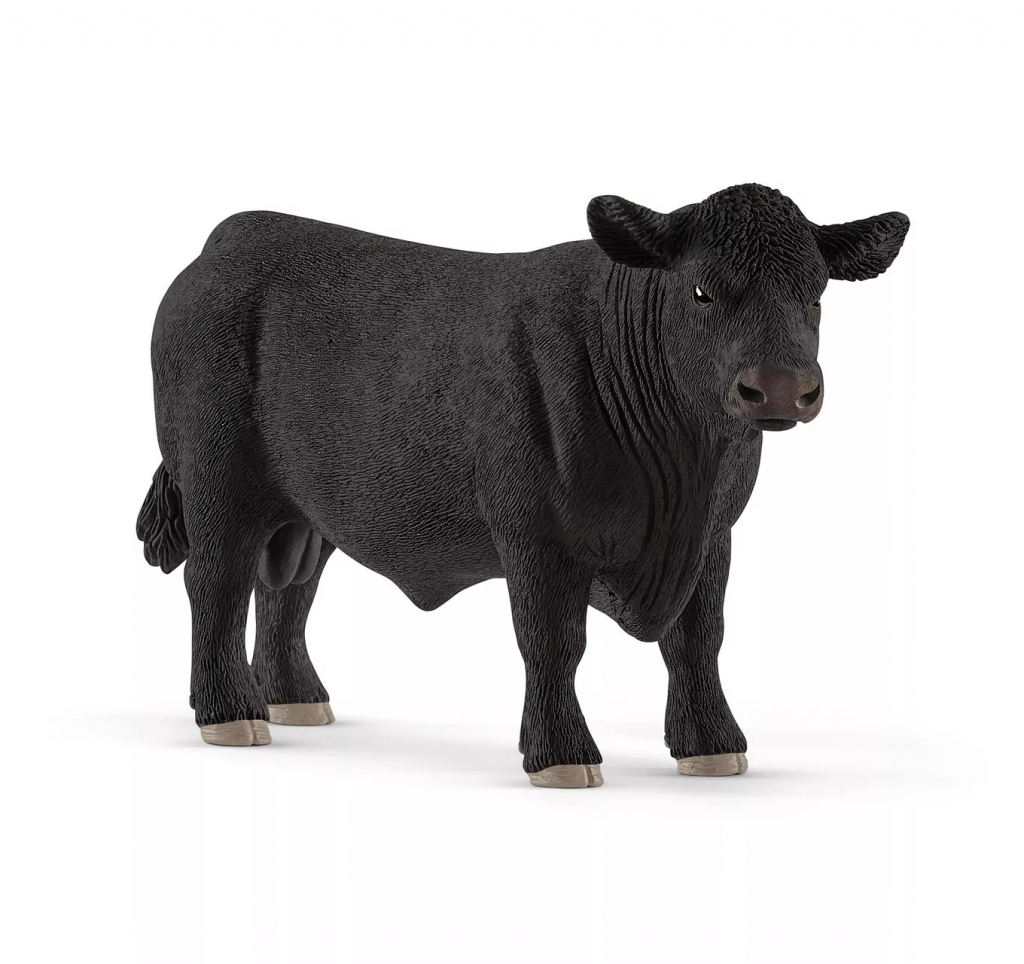 Black Angus Bull