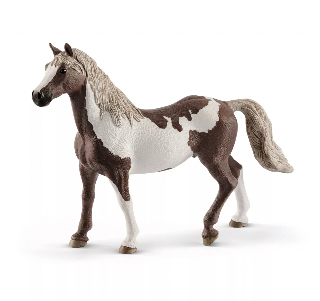 Paint Horse Gelding