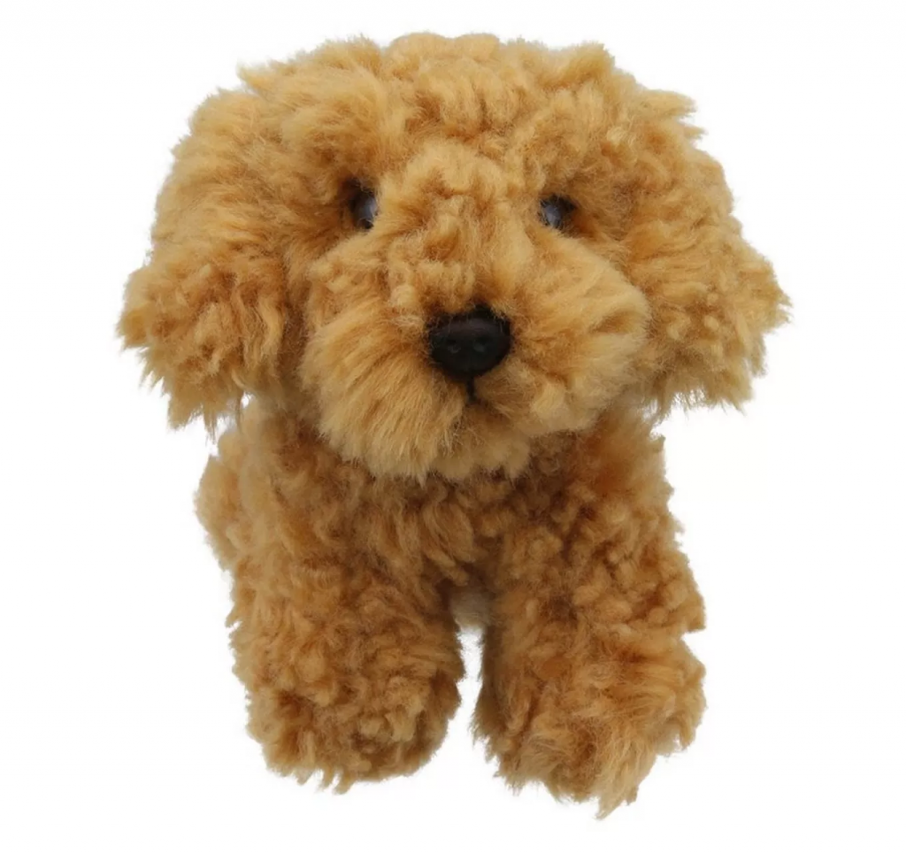 Wilberry Minis Cockapoo