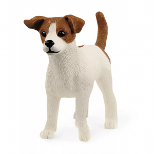 Jack Russell Terrier 13916