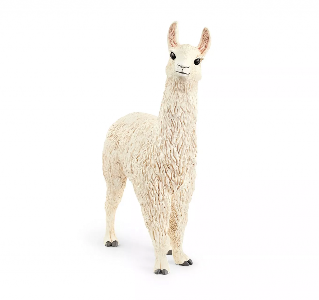 Llama