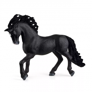 Pura Raza Espanola Young Horse