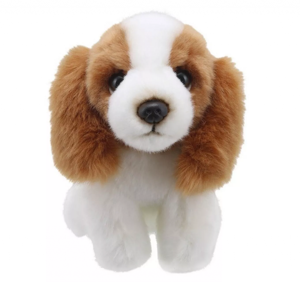 Wilberry Minis King Charles Spaniel