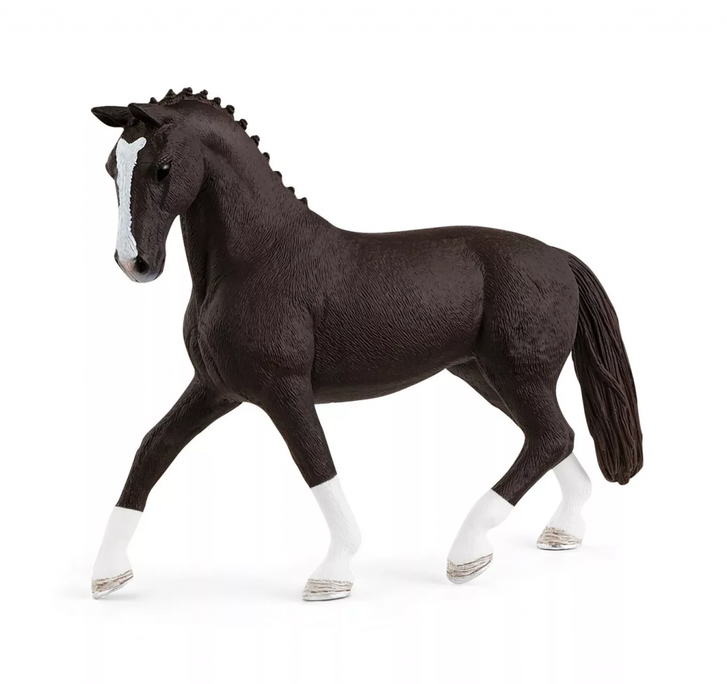 Hannoverian Mare, Black