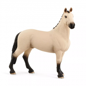 Hannoverian Gelding, Red Dun