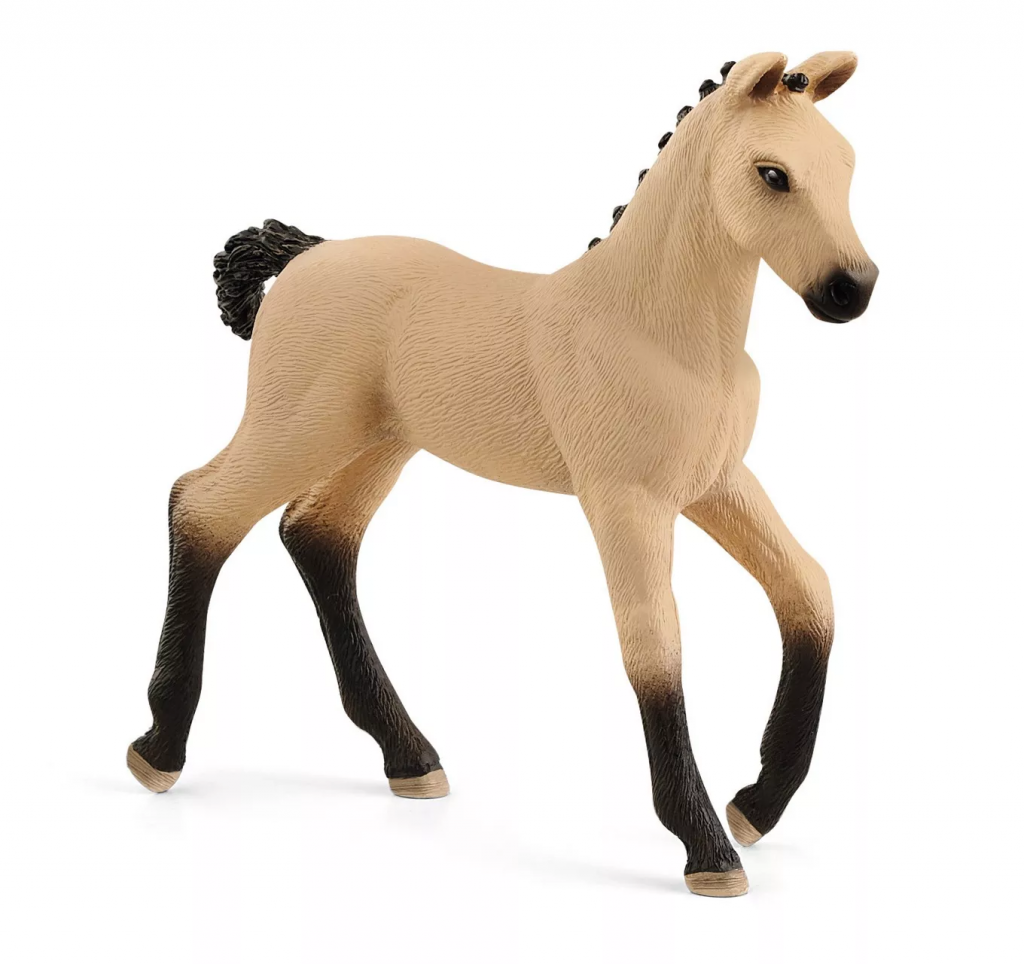 Hannoverian Foal, Red Dun
